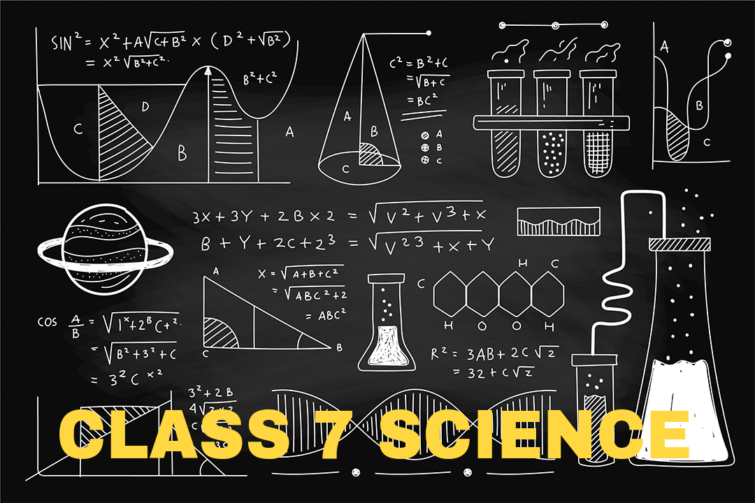 Class 7-Science